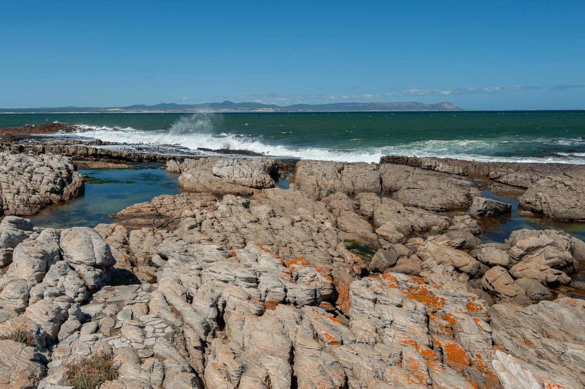 64 Whalerock Estate Apartment Hermanus Exterior foto